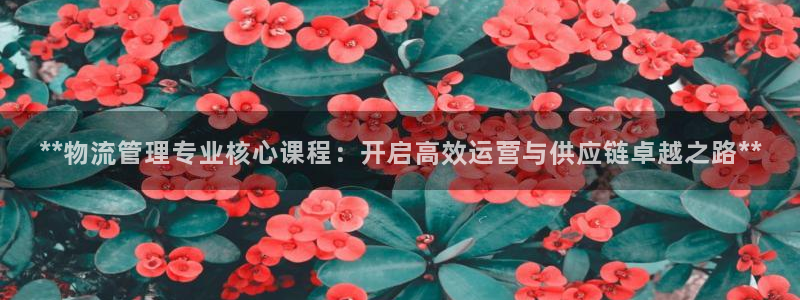 28圈大舞台