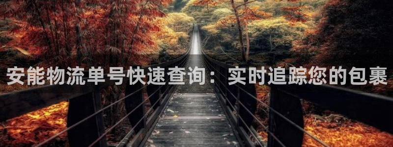 28圈p扣除是什么意思
