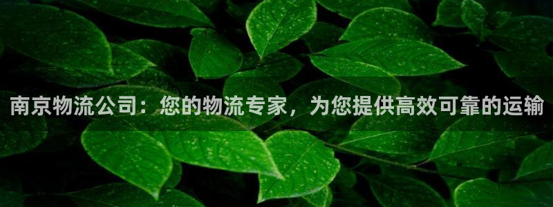28圈初始资金密码在哪里改