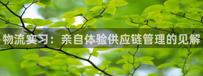 28圈激活码：物流实习：亲自体验供应