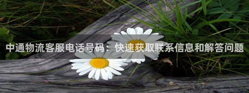 28圈下载链接是多少
