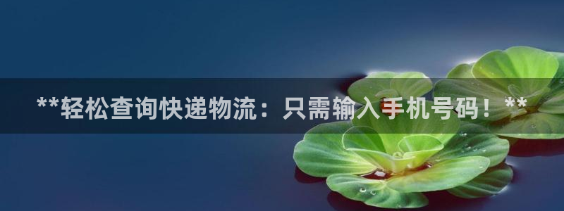 28圈模拟器