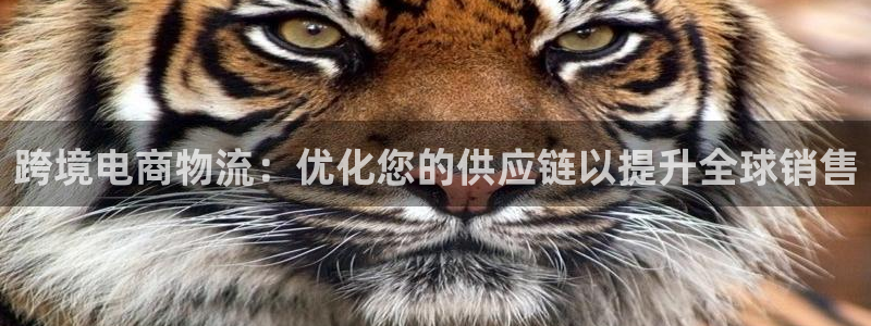 28圈怎么下载不了