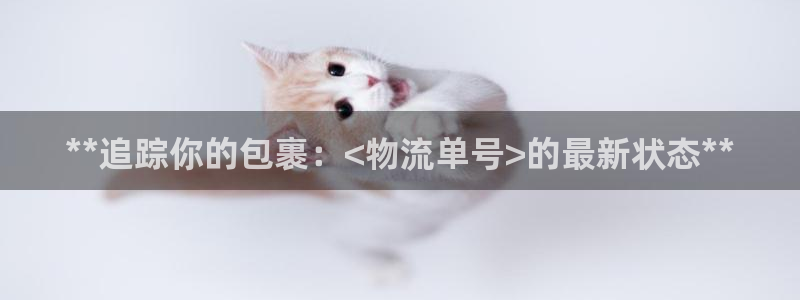 28圈登录网：**追踪你的包裹：<物