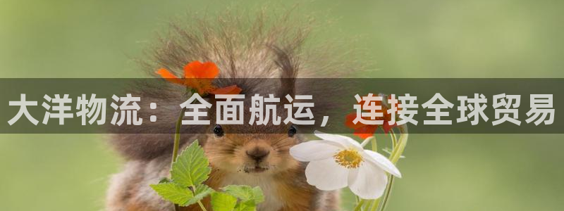 28圈圈助手
