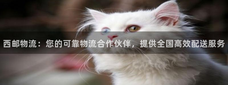 28圈注册网站链接怎么弄：西邮物流：