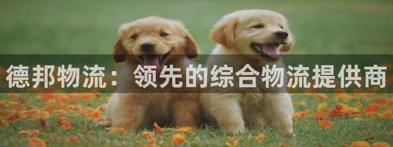 28圈充值不到账什么原因