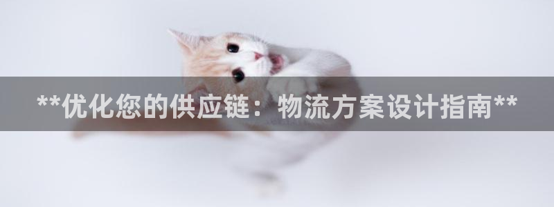 28圈能赢钱吗