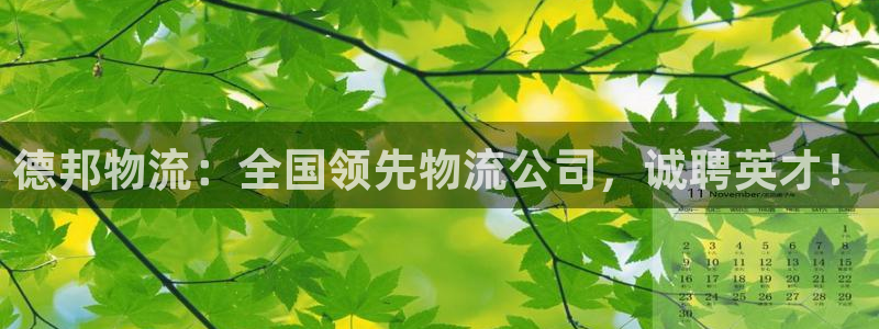 28圈链接是什么