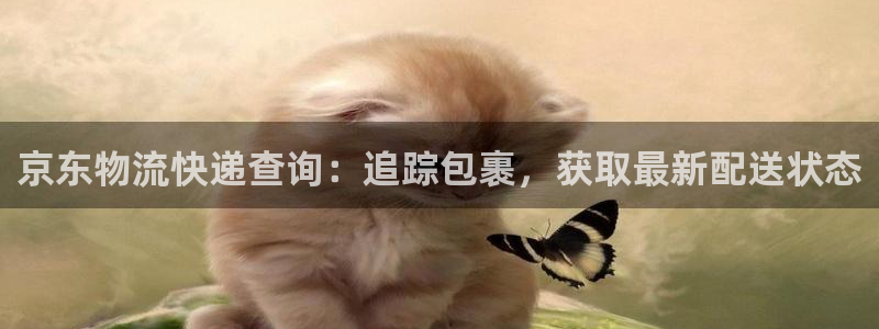 28圈h5链接