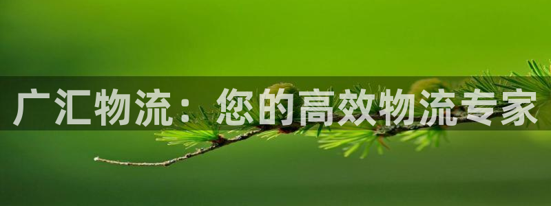 28圈APP是干什么的