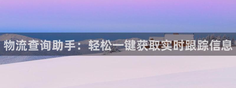 28圈模拟器下载