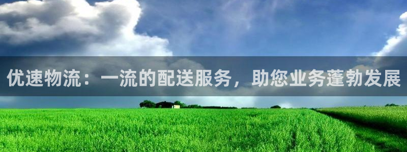 28圈pg麻将胡了2老是空转：优速物