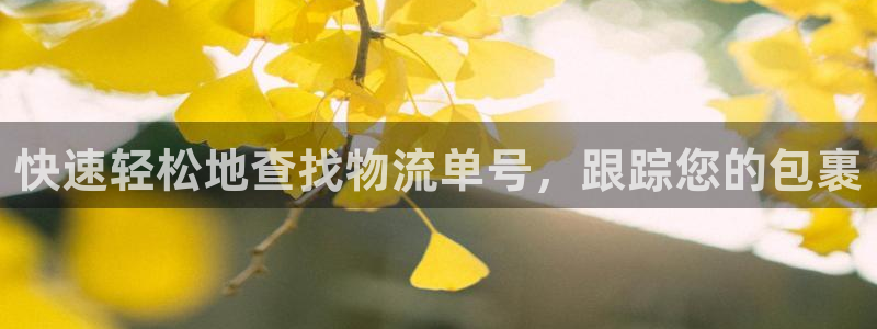 28圈加拿大pc预测