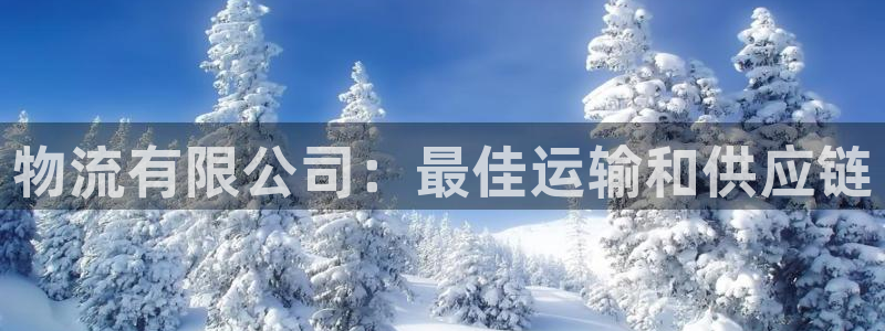 28圈注册网页：物流有限公司：最佳运