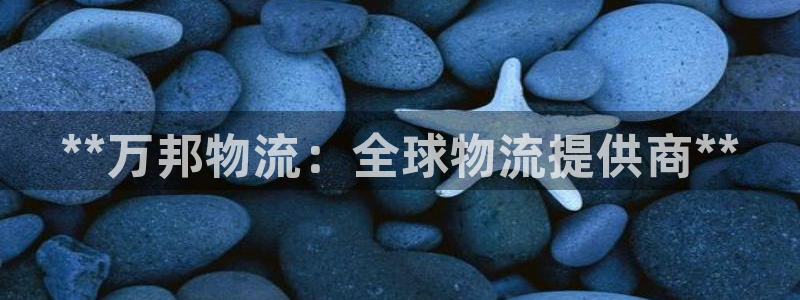 28圈模拟器下载