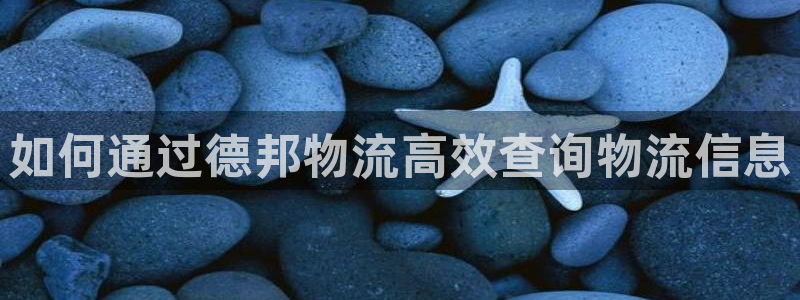 28圈游戏官网版