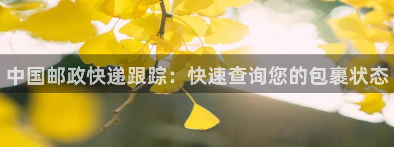 28圈官网开奖结果预测查询