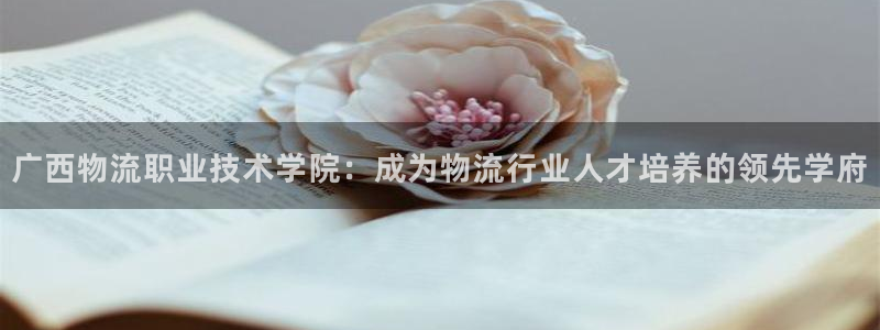 28圈p扣除是什么意思