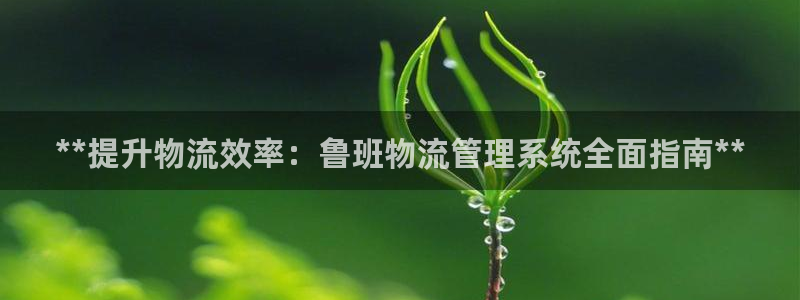 28圈注册地址：**提升物流效率：鲁