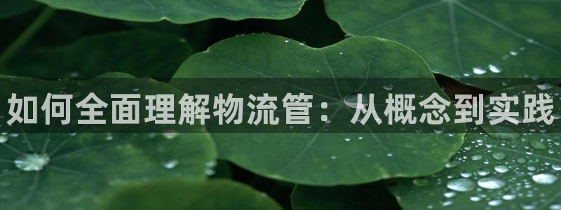 28圈如何退款