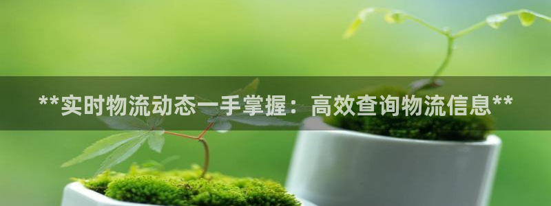 28圈不给提现