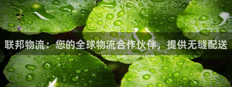 28圈加拿大