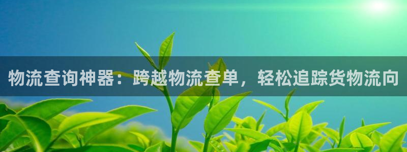 28圈最稳打法