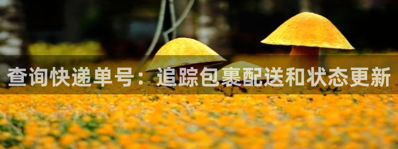28圈模拟器在线使用