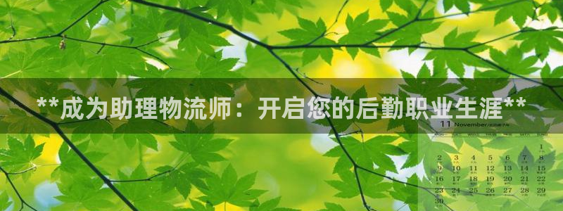 28圈注册网站多少：**成为助理物流