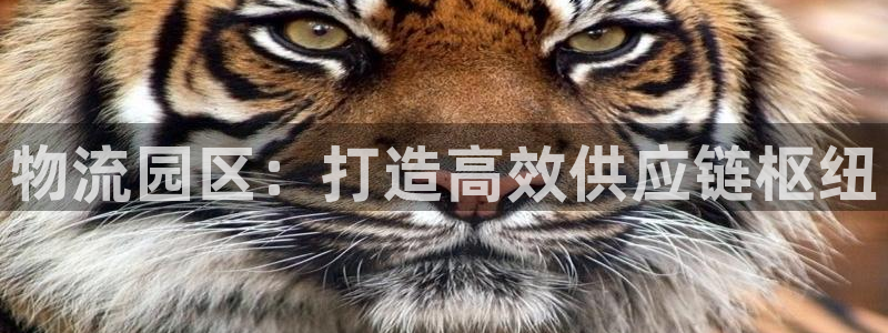 28圈里的财神