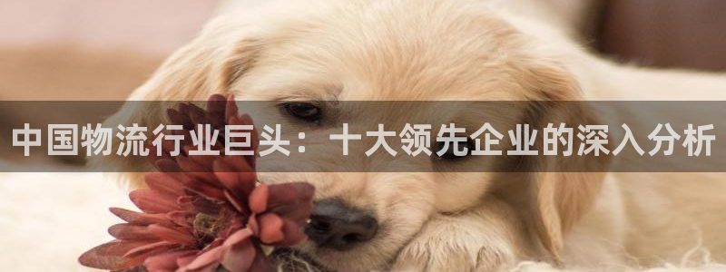 28圈娱乐官网网页