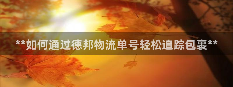 28圈的平台
