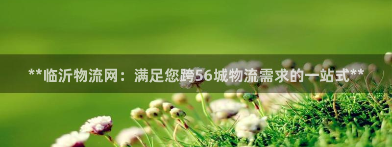 28圈连接