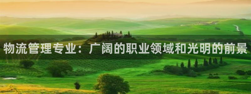 28圈官网网站