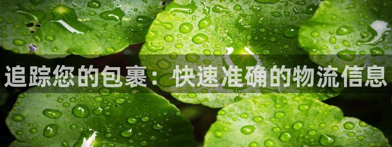 28圈大舞台