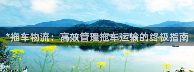 28圈网赌有什么风险：*拖车物流：高