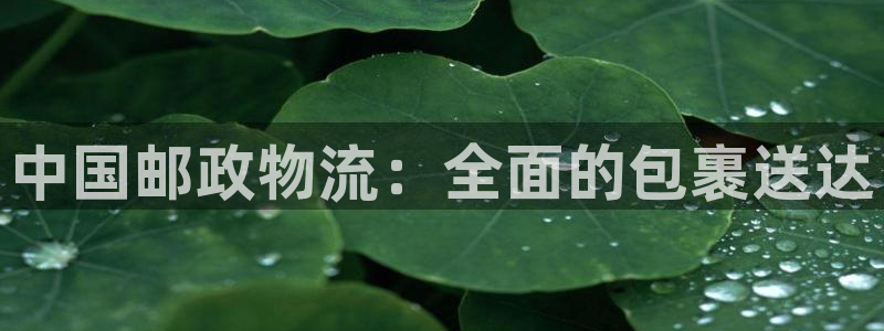 28圈辅助