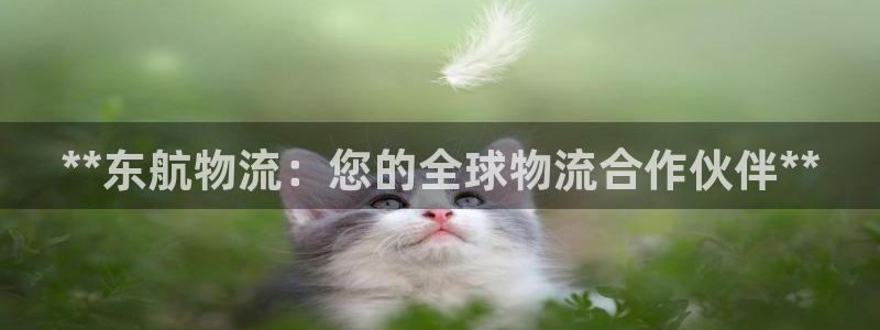 28圈pc预测：**东航物流：您的全