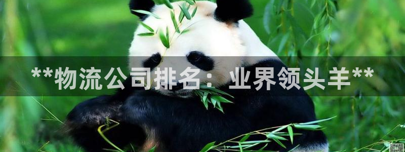 28圈.ccm官网