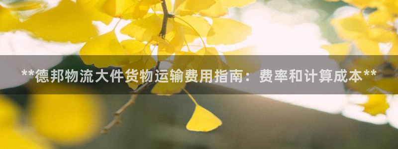 28圈登录网：**德邦物流大件货物运
