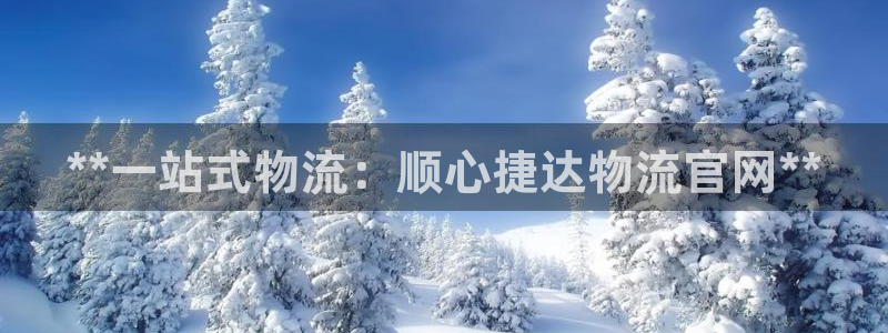 28圈加拿大预测