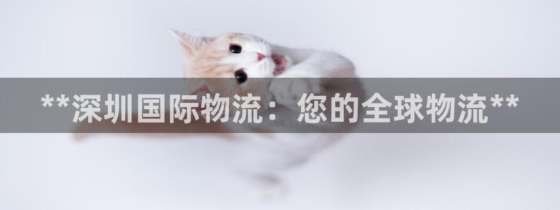 28圈ccm官网版