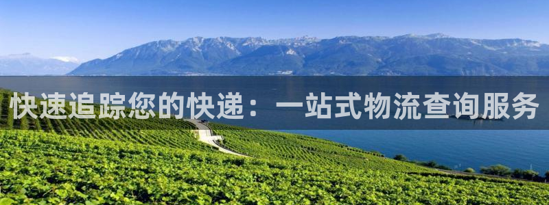 28圈二维码