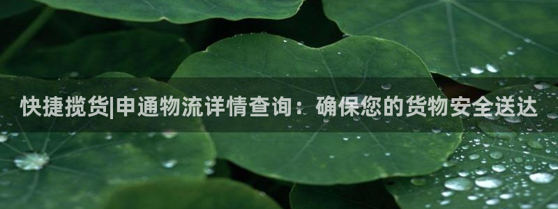 28圈.ccm