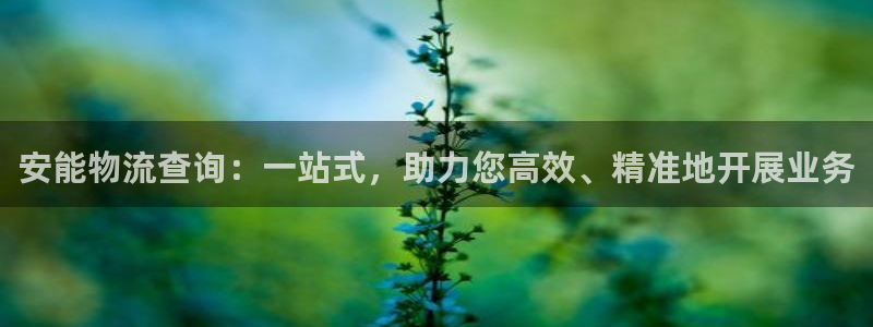 28圈女王中奖记录查询