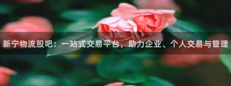 28圈黑吗