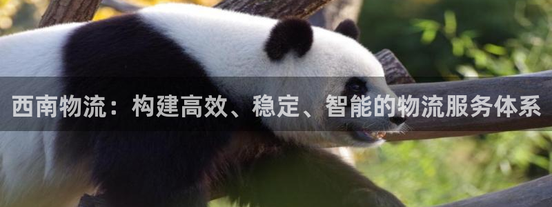 28圈在线预测