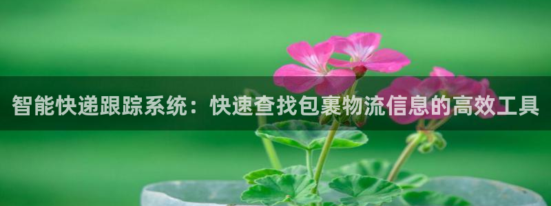 28圈如何退款