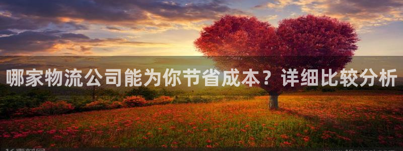 28圈加拿大在线预测：哪家物流公司能